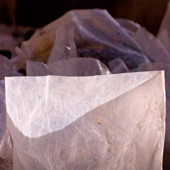 Plastic bag