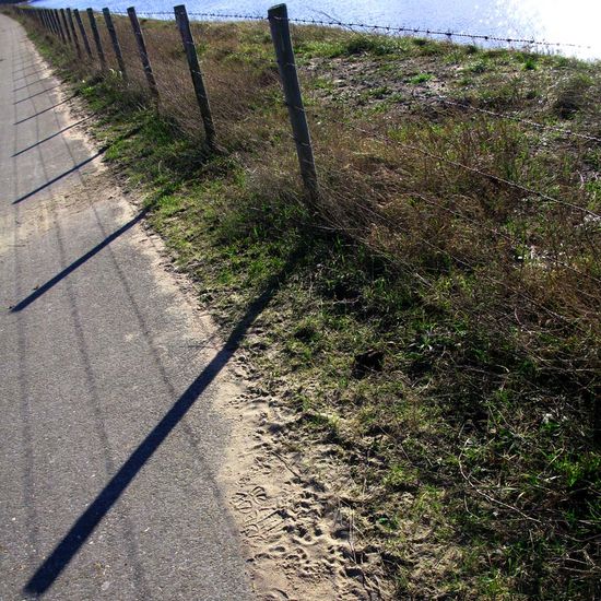 Water grass fence