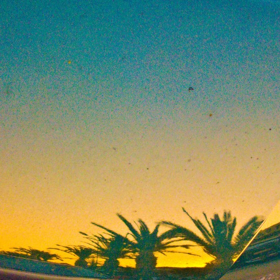 Palms