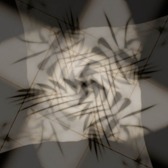 Plantshadow