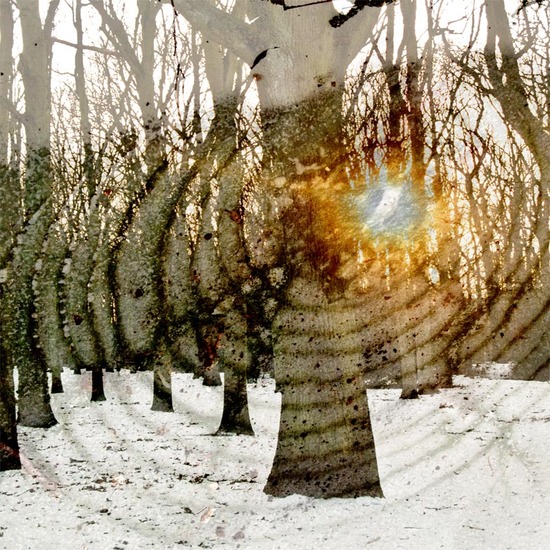 Sun, tree, Ice-hole