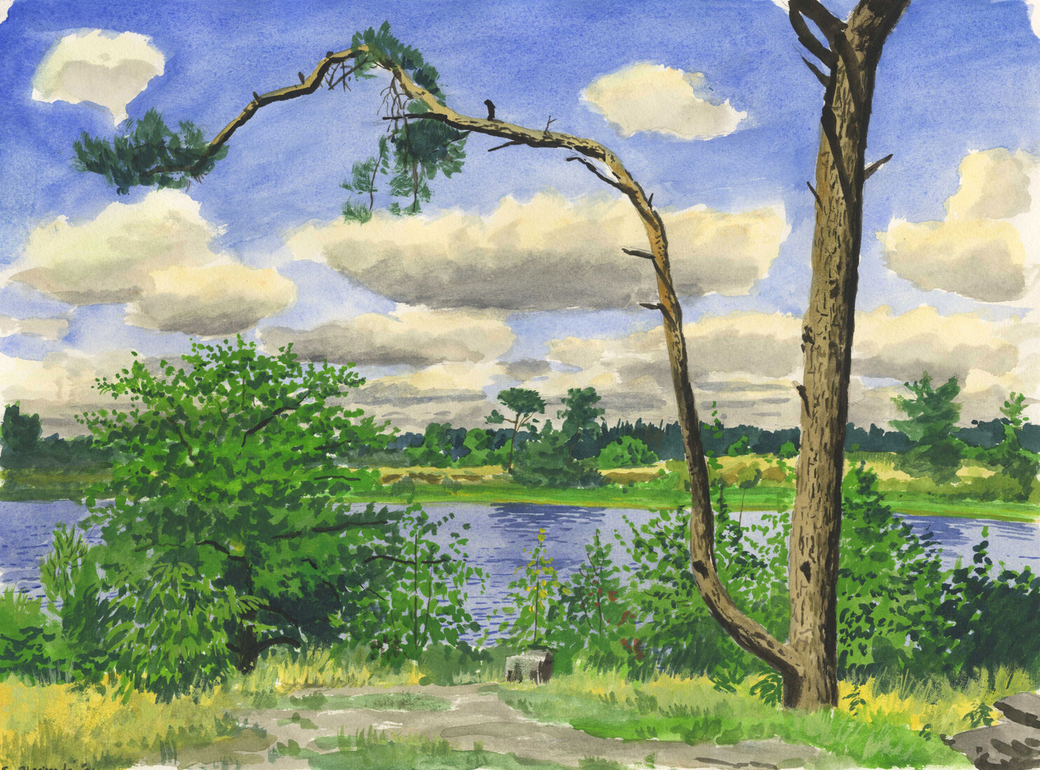 De Malpie bij Valkenswaard