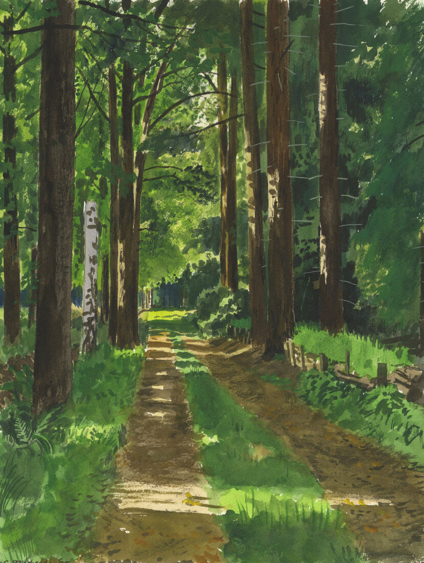 Landgoed De Wielewaal in Eindhoven