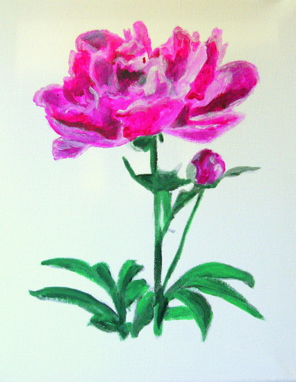 Pioenroos In opdracht