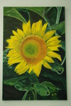 Bloemen acryl