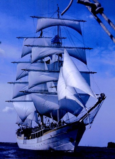 Sail in 1995