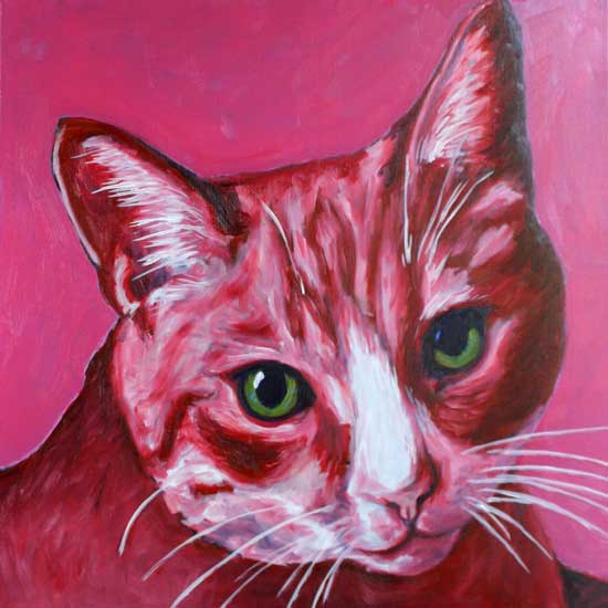 Piepstaart, de kat van de schilder