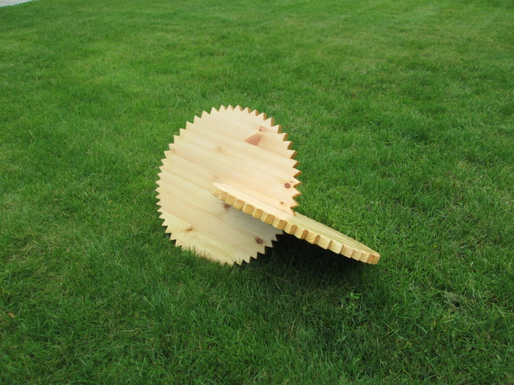 Oloïde Grenen gekarteld