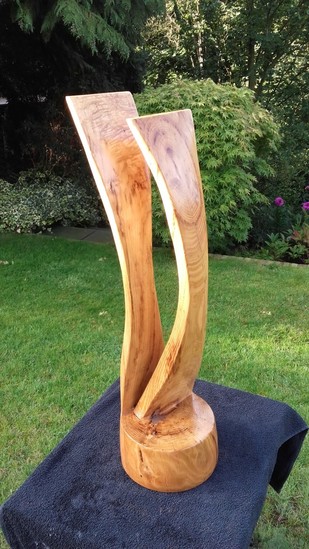 Two Curves of Acacia