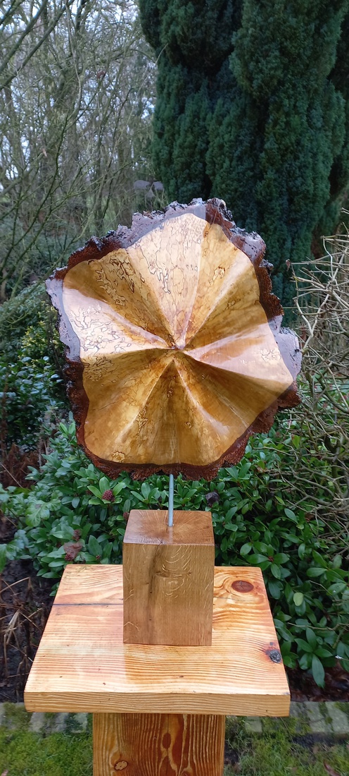 Birch Disc One 