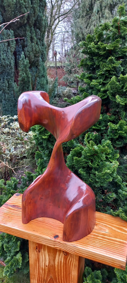 Wokkel van Amerikaanse Vogelkers