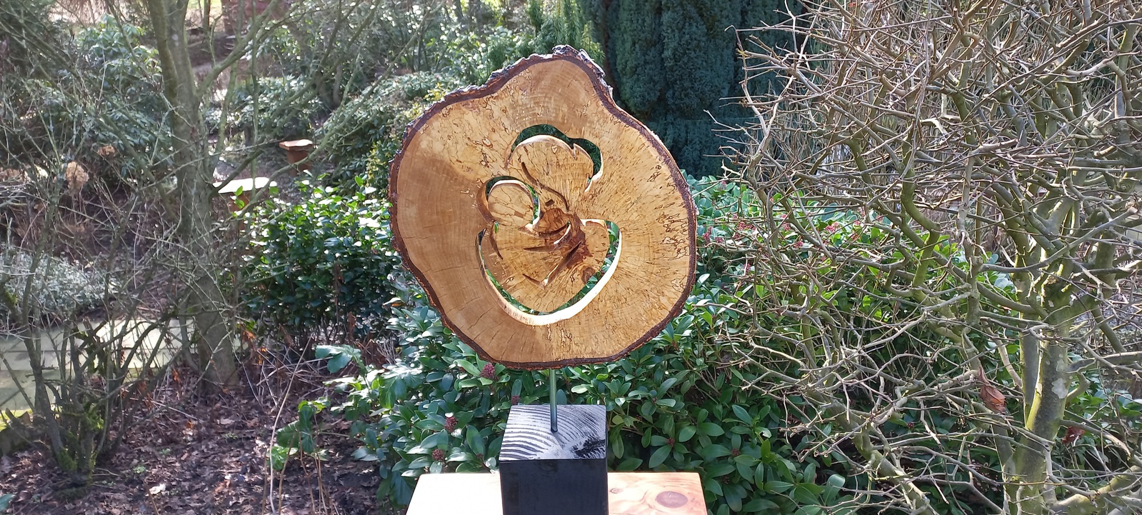 Birch disc Silhouette 1