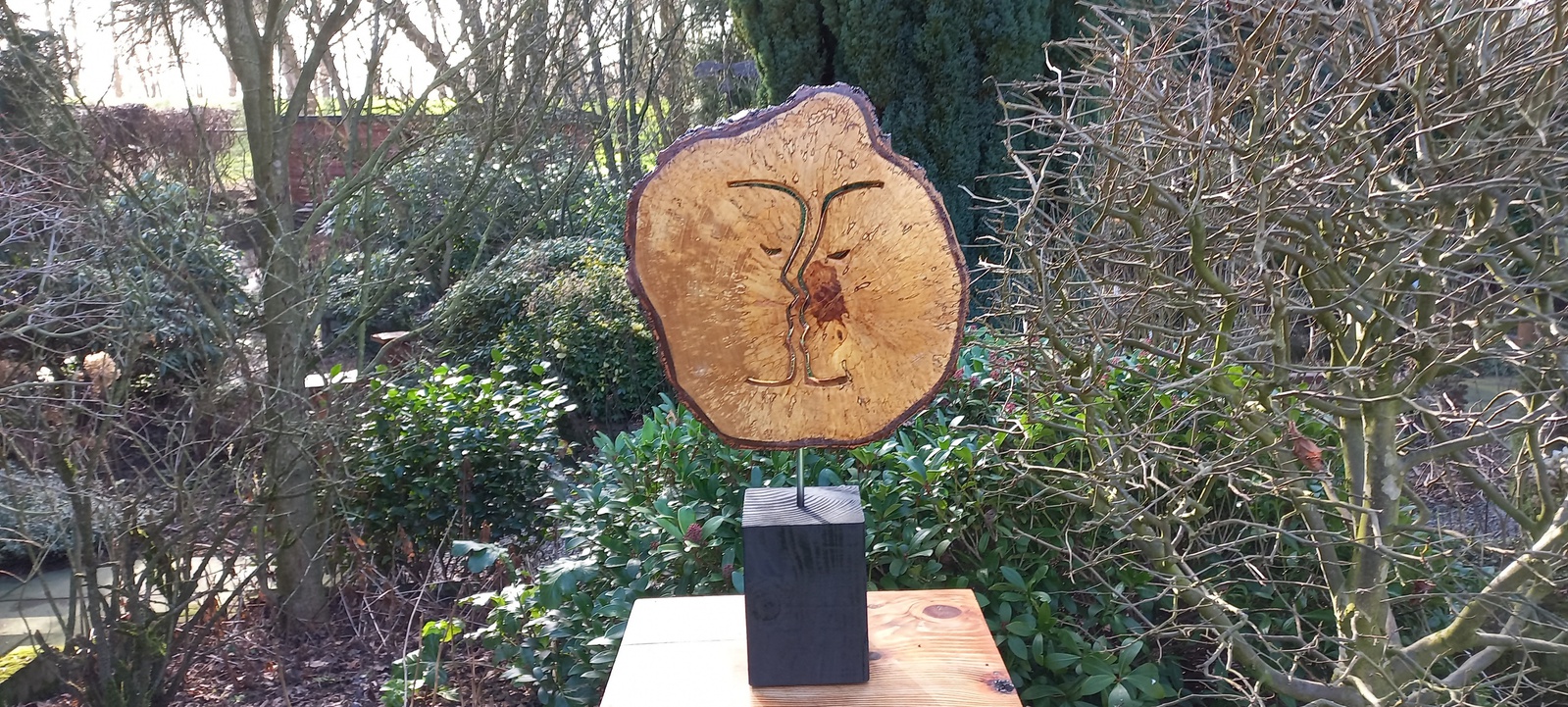 Birch Disc Silhouette 2