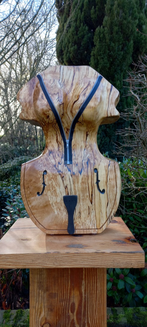 The Muse & The Cello