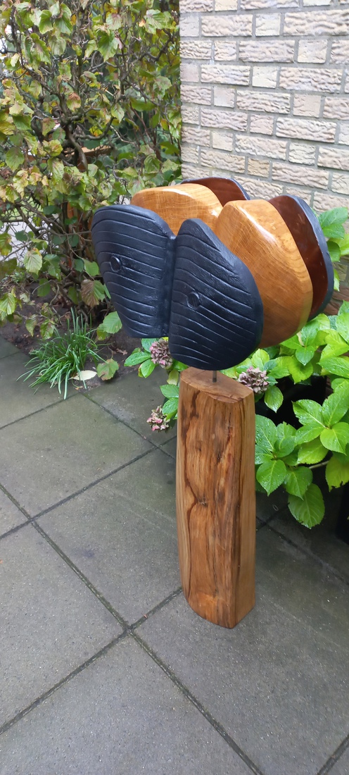 Combi Keramiek & Eik