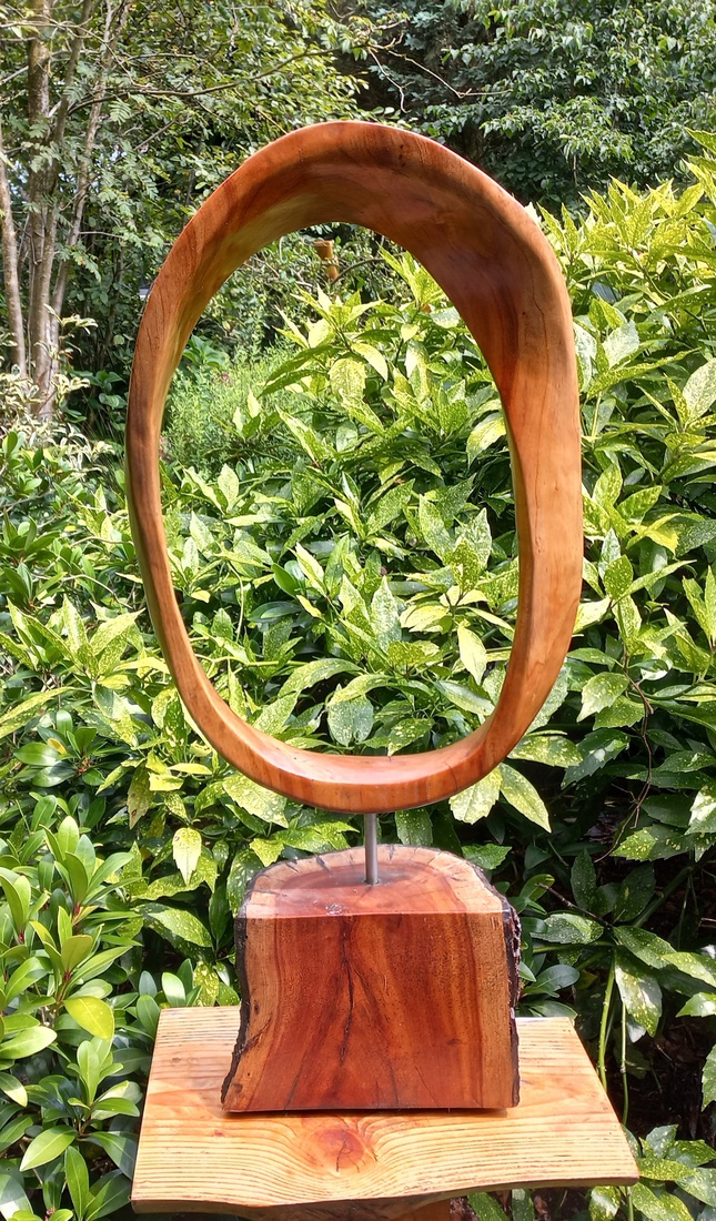 Möbius van Amerikaanse Vogelkers