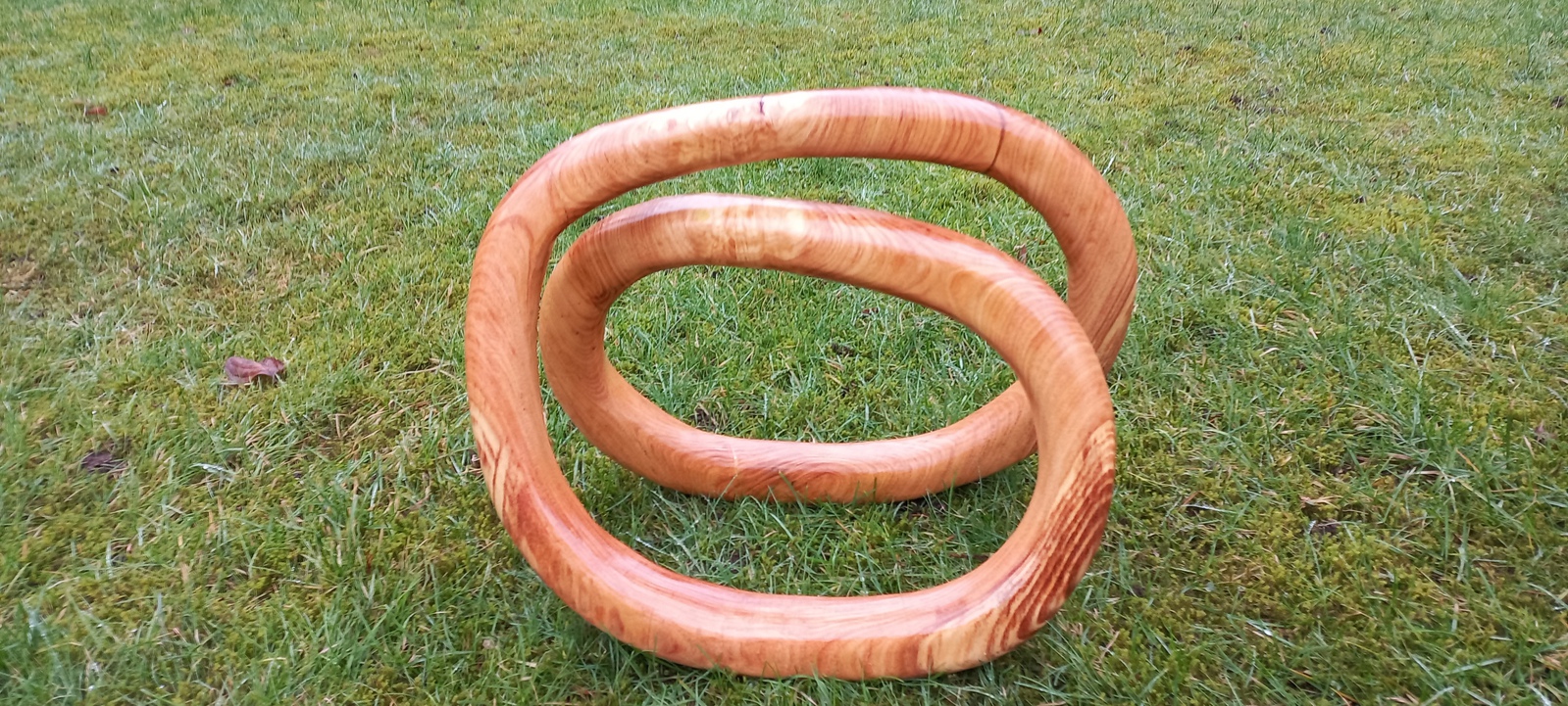 Amerikaanse Vogelkers Slinger