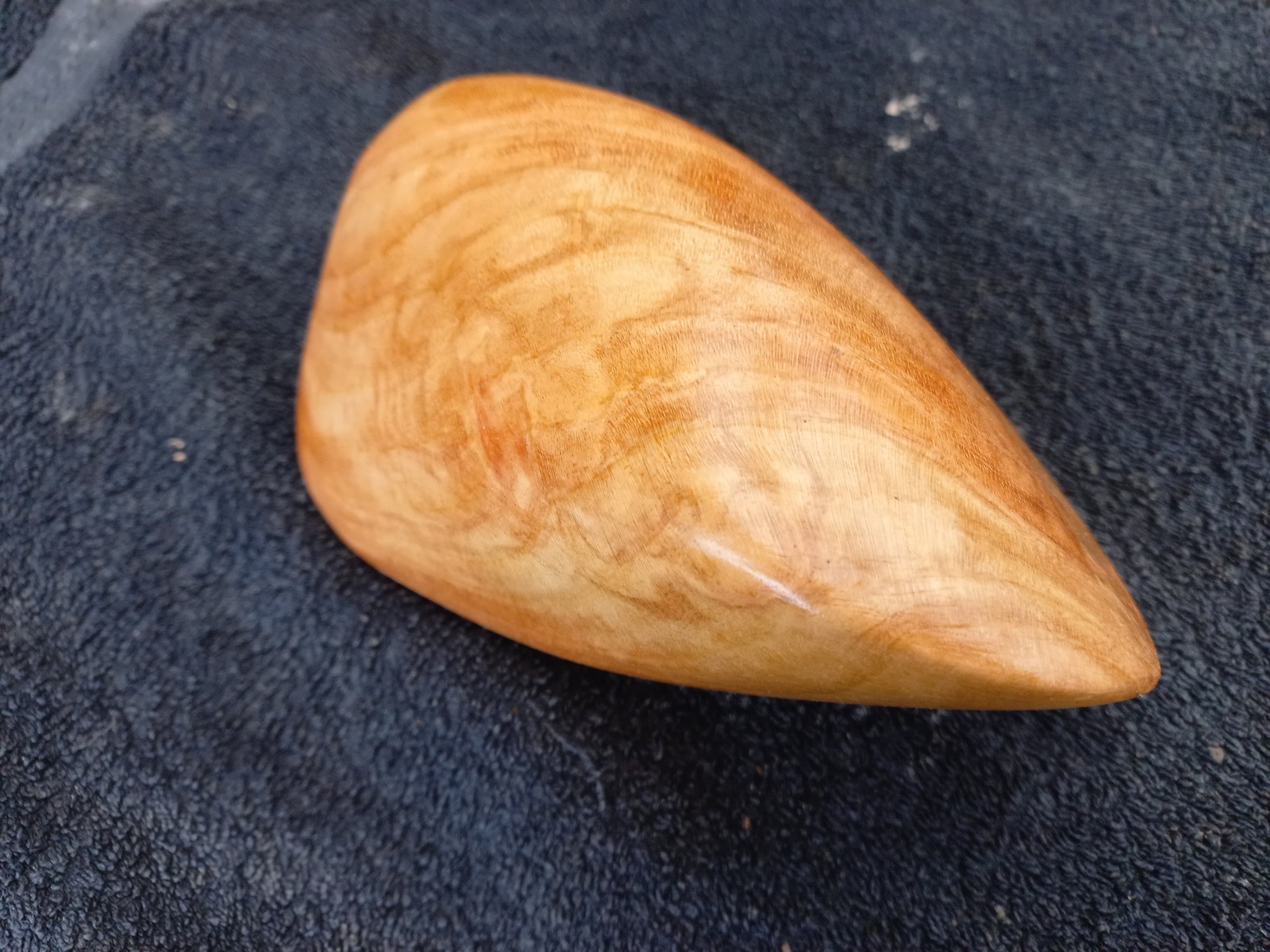 Christusdoorn Oloïde