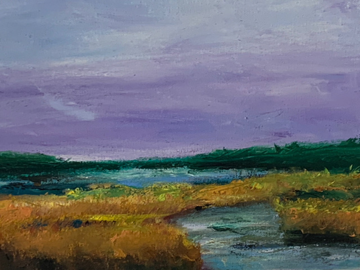 Rietlanden bij avondlicht