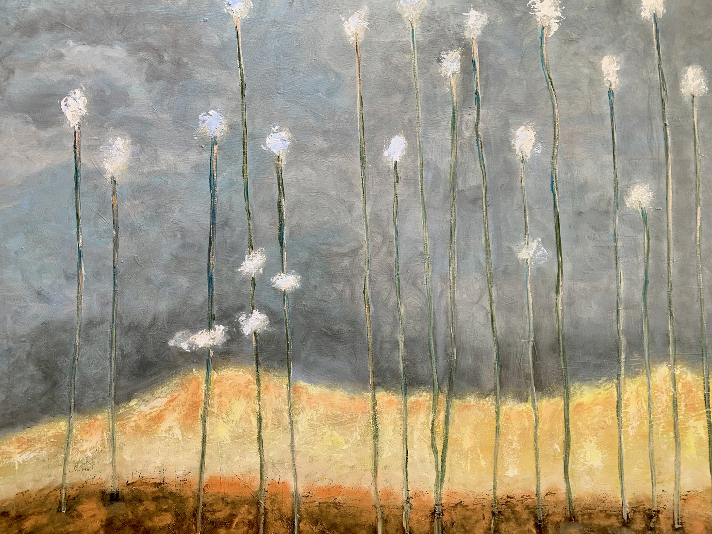 Wuivend riet in de Onlanden