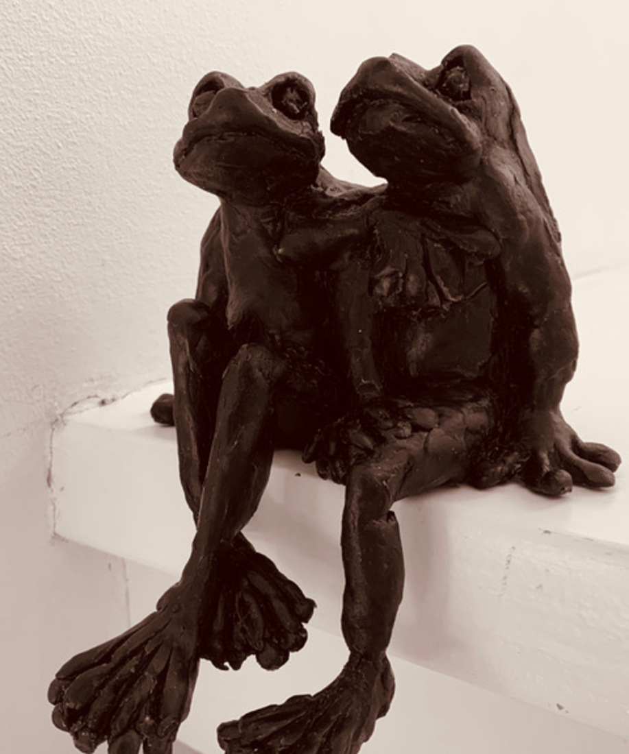 Roddelende kikkers 2 :BROER & ZUS