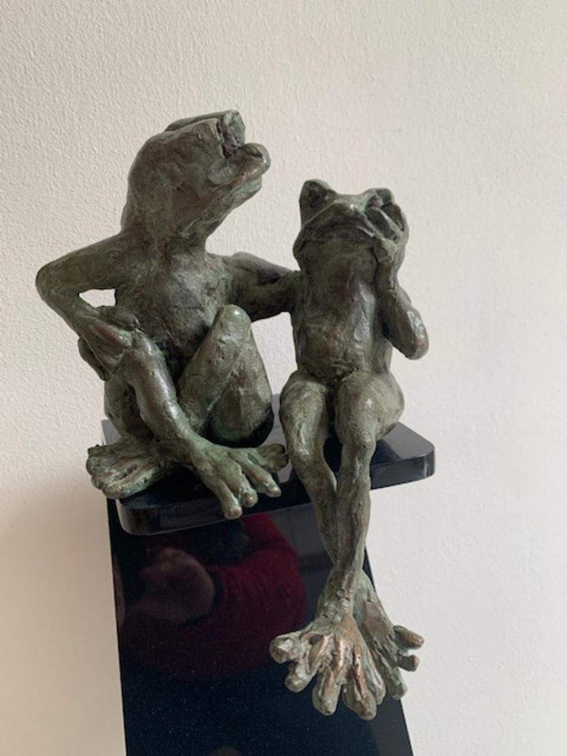 roddelende kikkers 2 : Troost