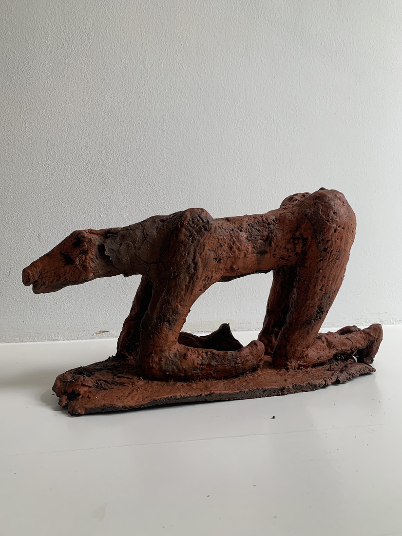 Paard door z’n hoeven gezakt