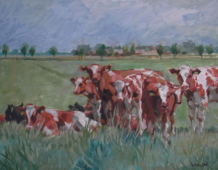 Vaarsen in Zijdewind