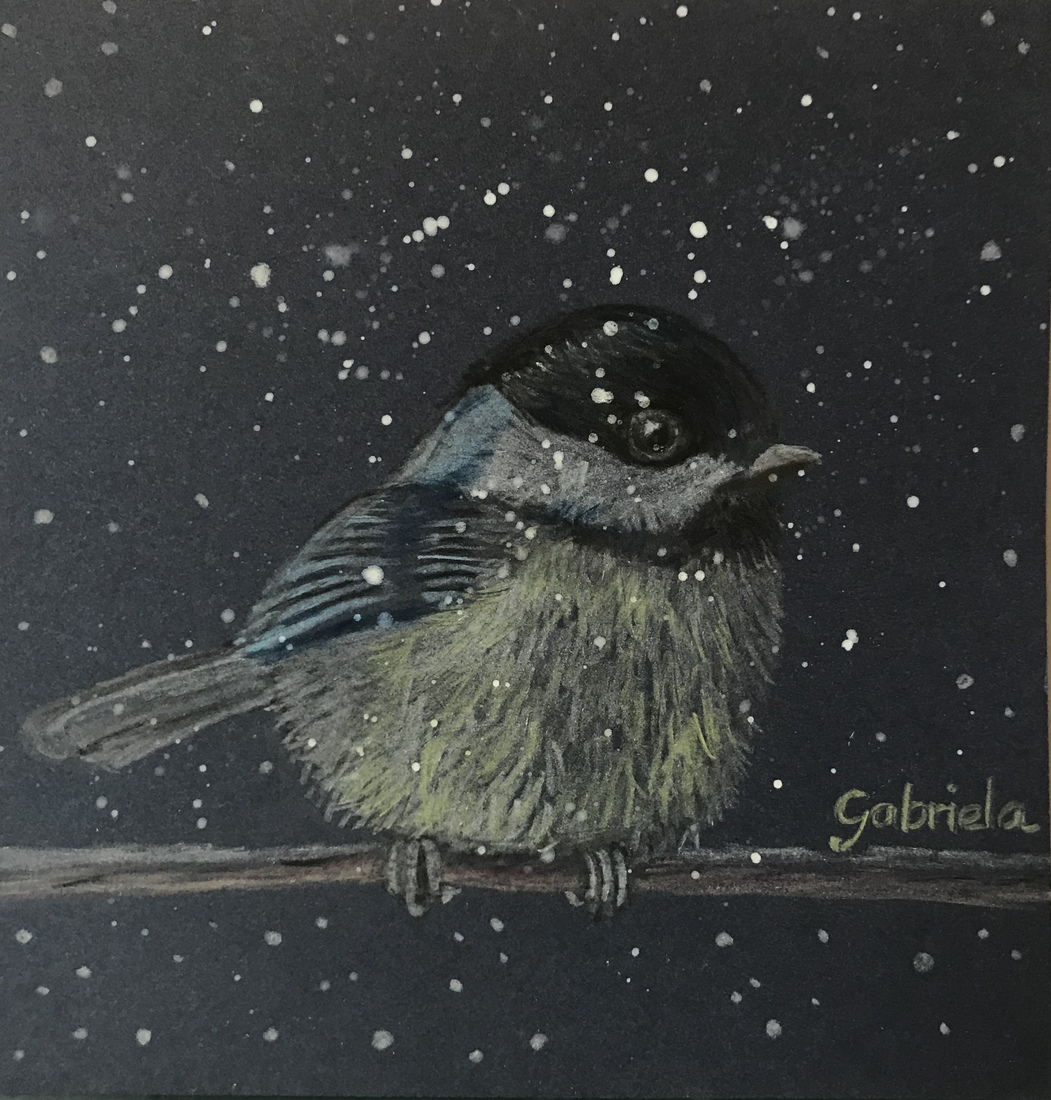 Zwarte mees in de sneeuw