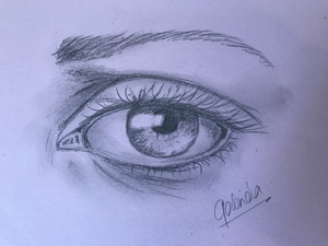 Tekeningen diverse thema's