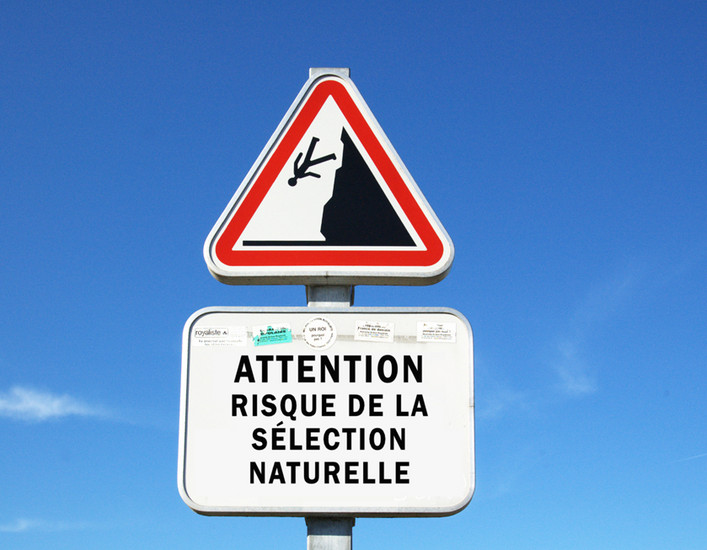 Natuurlijke selectie