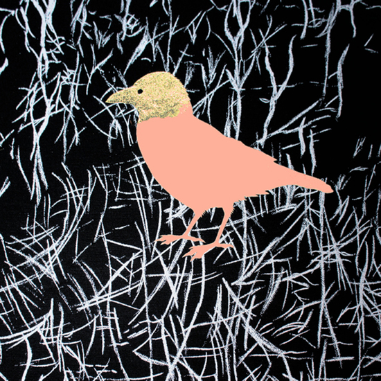 Pink bird
