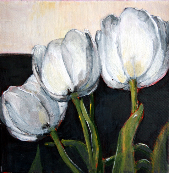 tulpen