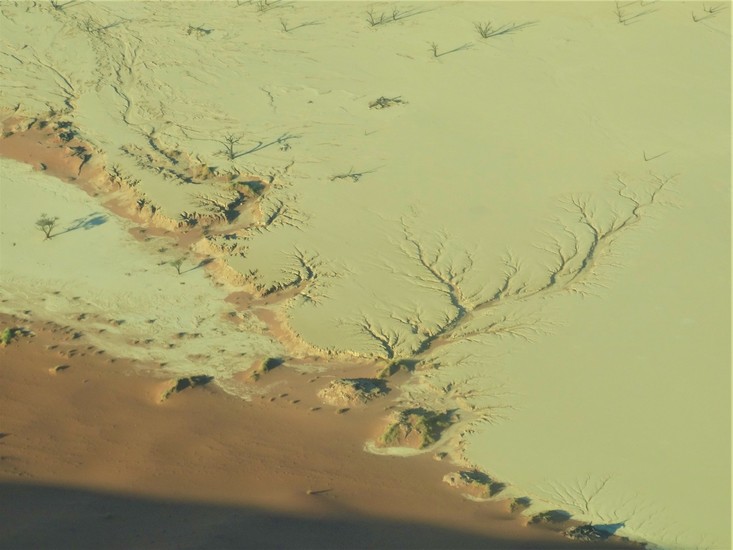 Kleivlakte in de Sossusvlei