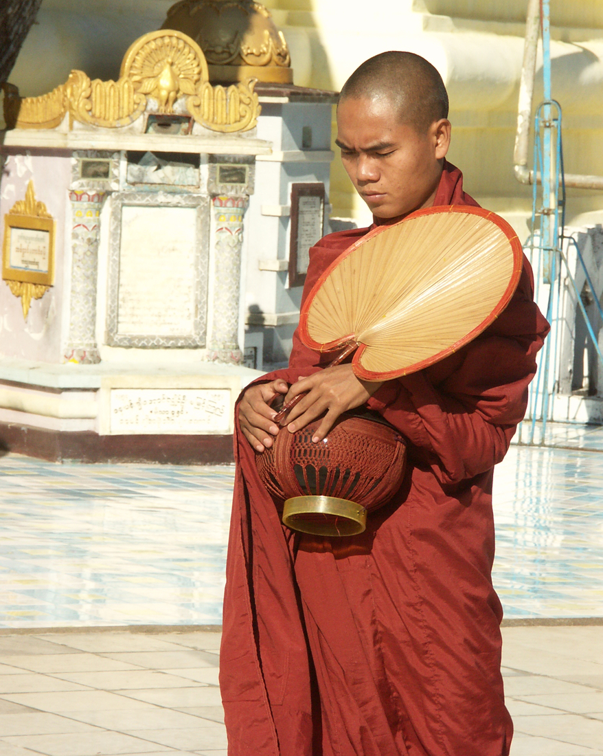 Jonge monnik, Myanmar