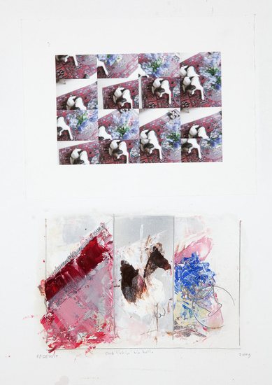 Dog_lickin_his_balls