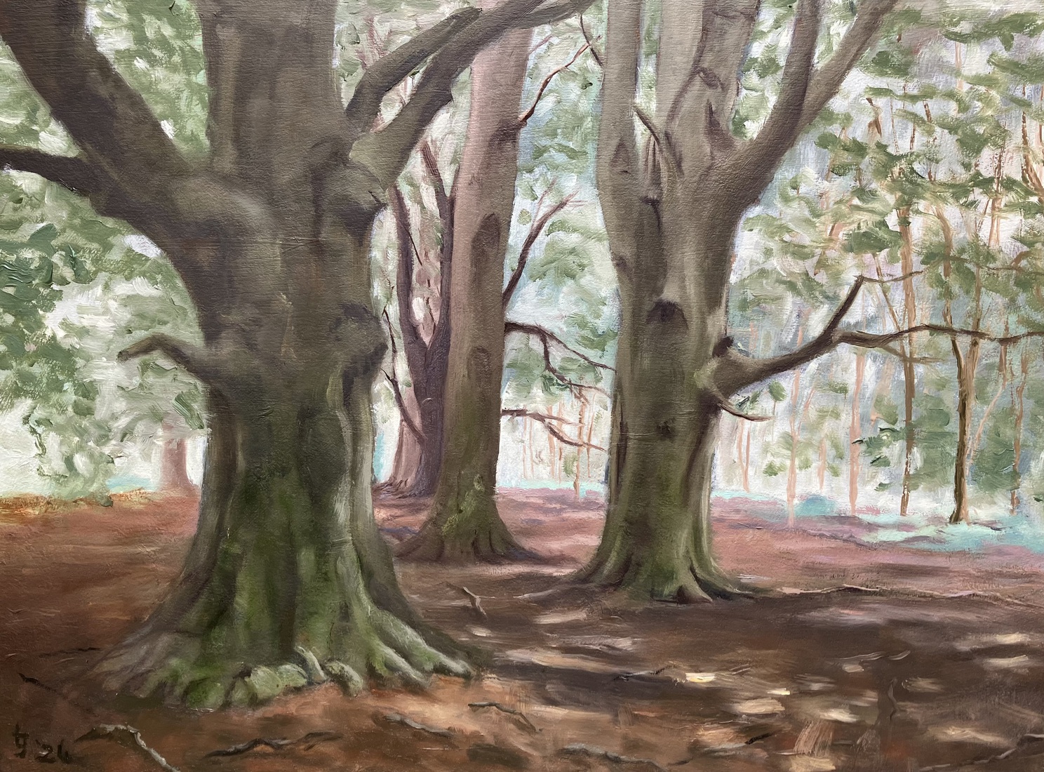 op weg naar de Woldberg