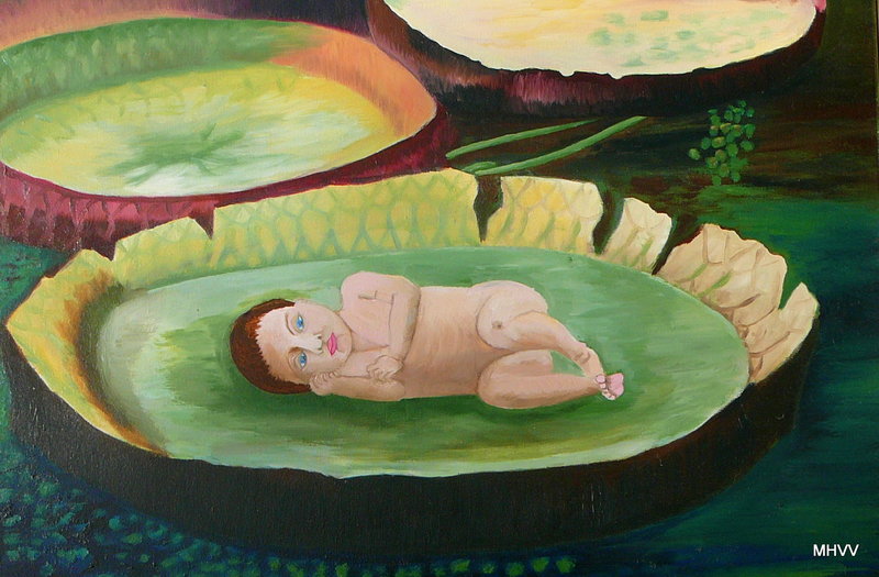 Baby op Victoria Waterlelie