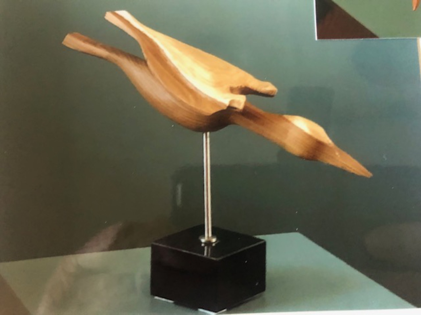 Duikende Aalscholver