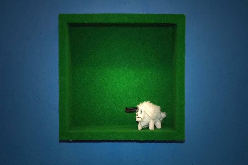 schaap