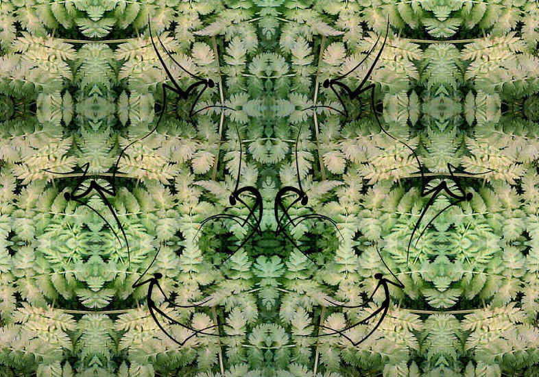 digiplant 1