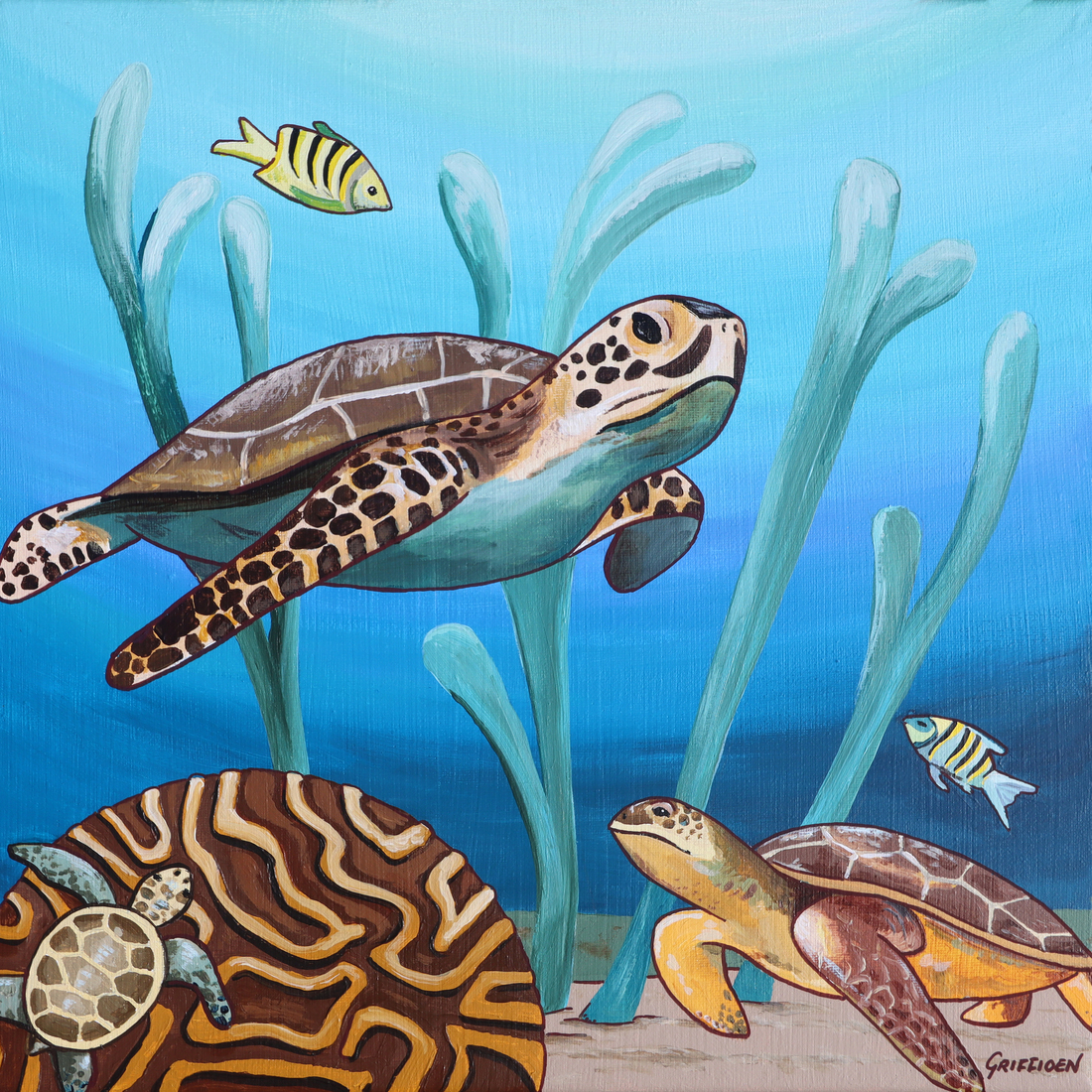 Zeeschildpadden en hersenkoraal