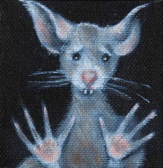 Mus Domesticus Auxilium