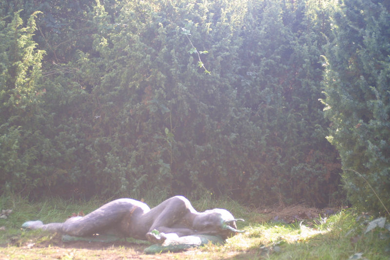 Hirsch