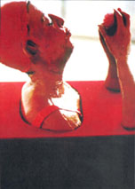 prachtvrouw