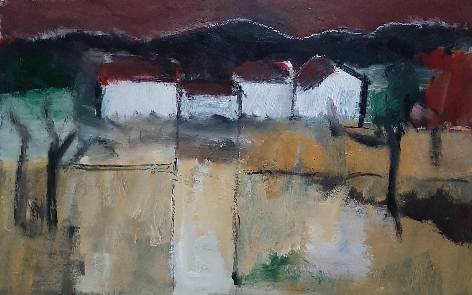 4 witte huizen 