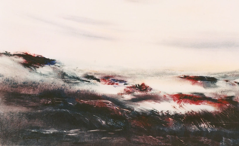 Heide landschap