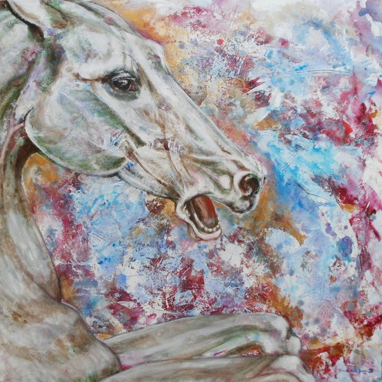 Anatomic study of the horse