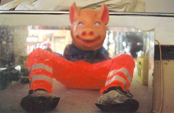 PIG