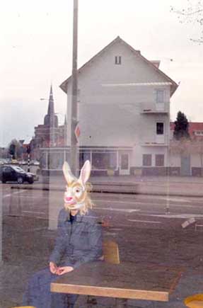 KONIJN